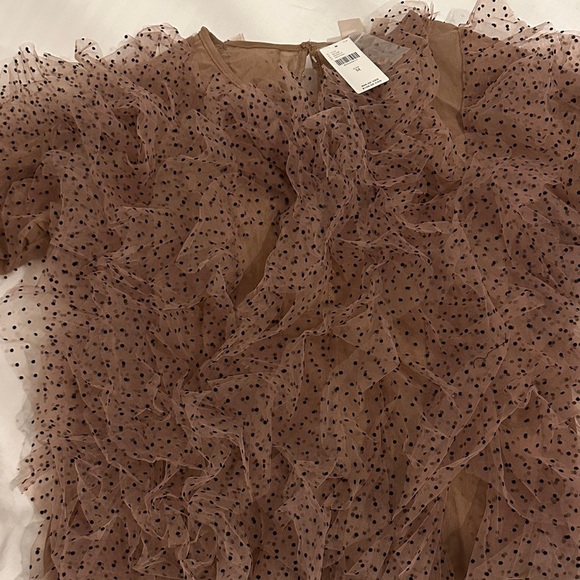 Anthropologie Dolan Left Coast Mesh Ruffle Top - Medium - Picture 7 of 12